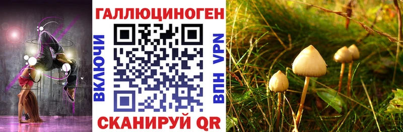 Галлюциногенные грибы GOLDEN TEACHER  Ужур 